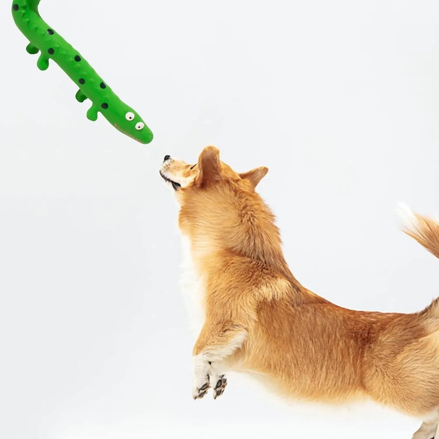 Green lizard-shaped dog chew toy with squeaker on a white background.