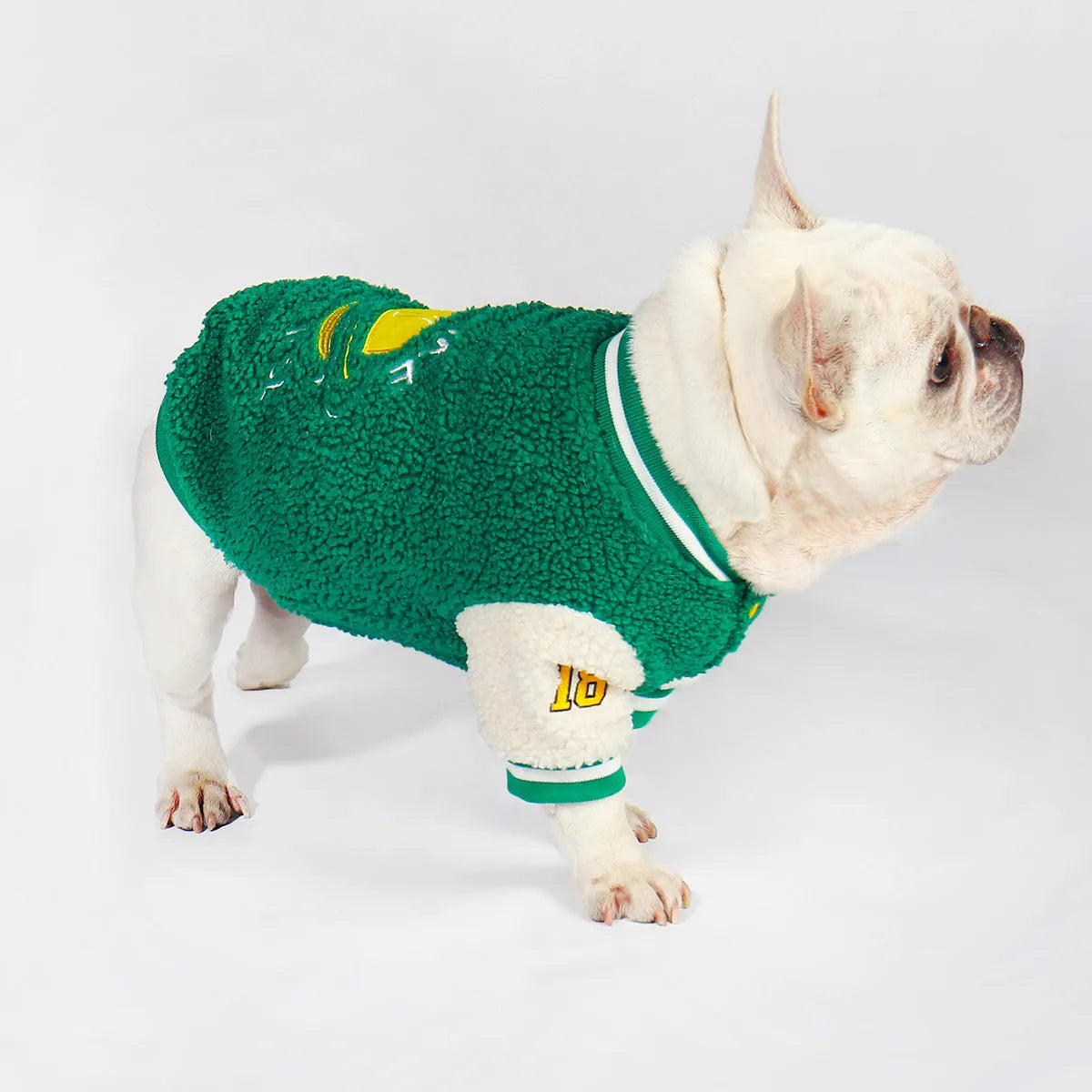 Green fleece-lined cotton winter dog clothing shown in sizes L through 4XL