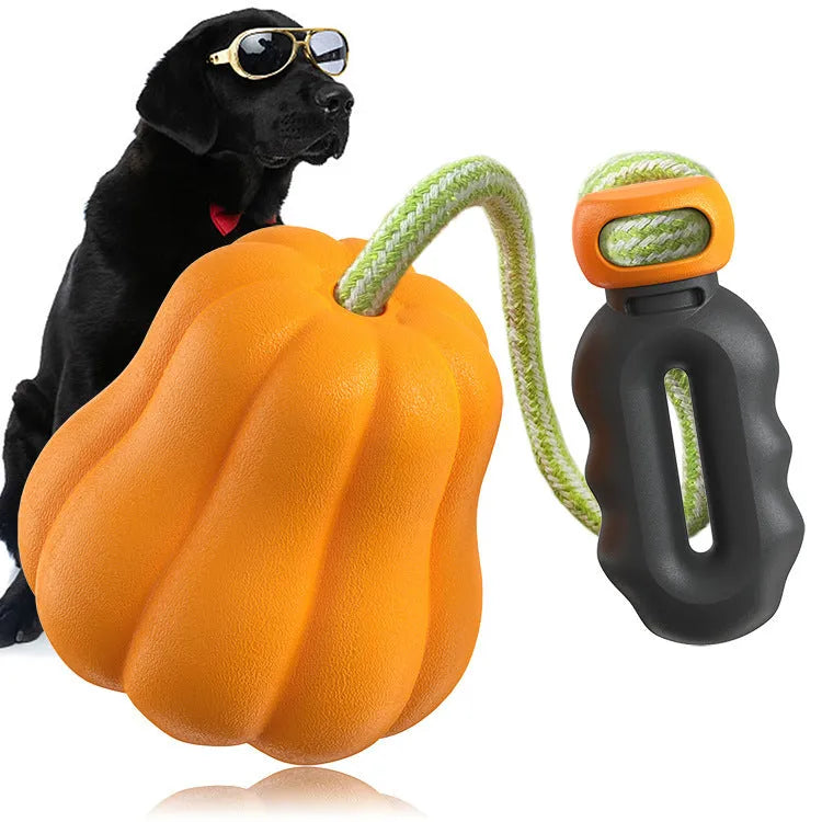 Orange plastic dog fetch toy with rope attachment for outdoor play
