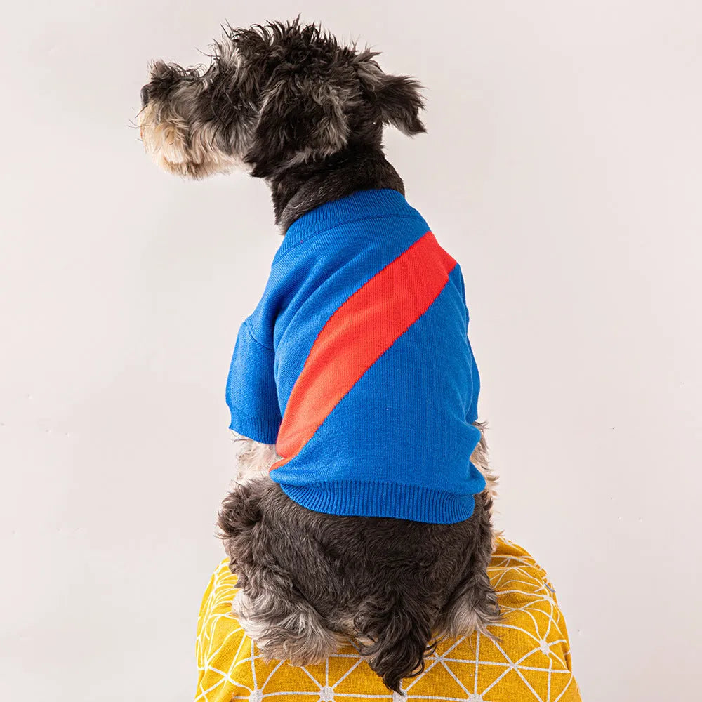 A wool casual jumper for corgis and poodles shown in sapphire blue, with size tags for XS S M L XL XXL.