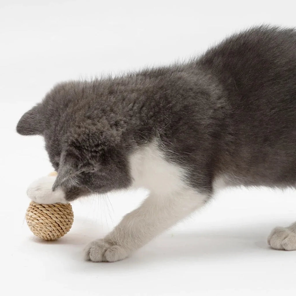 Two cat toys: hollow rattan ball and faux feather bell ball for interactive pet play.