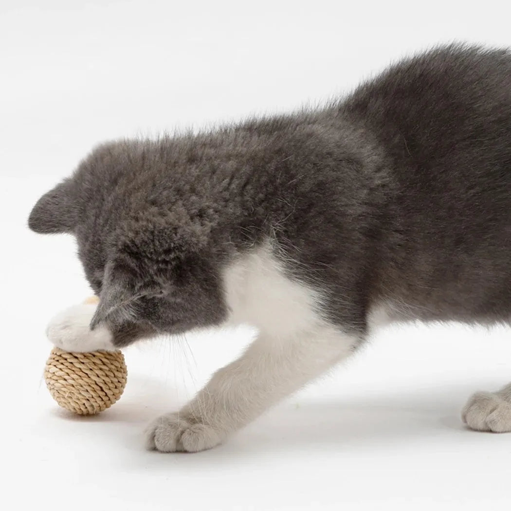 Two cat toys: hollow rattan ball and faux feather bell ball for interactive pet play.