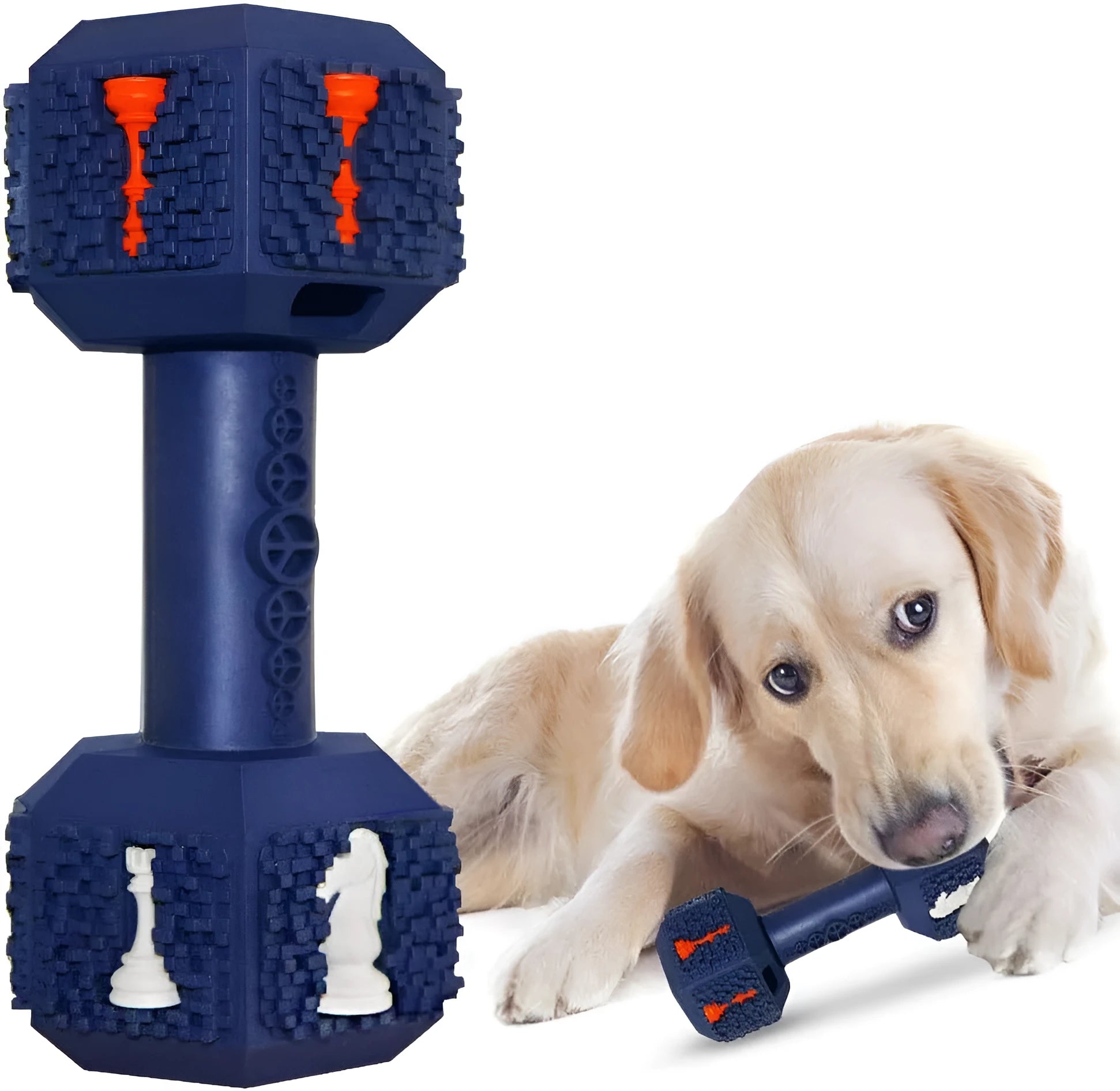 A blue dumbbell-shaped dog chew toy with a textured surface and hollow ends for treats.