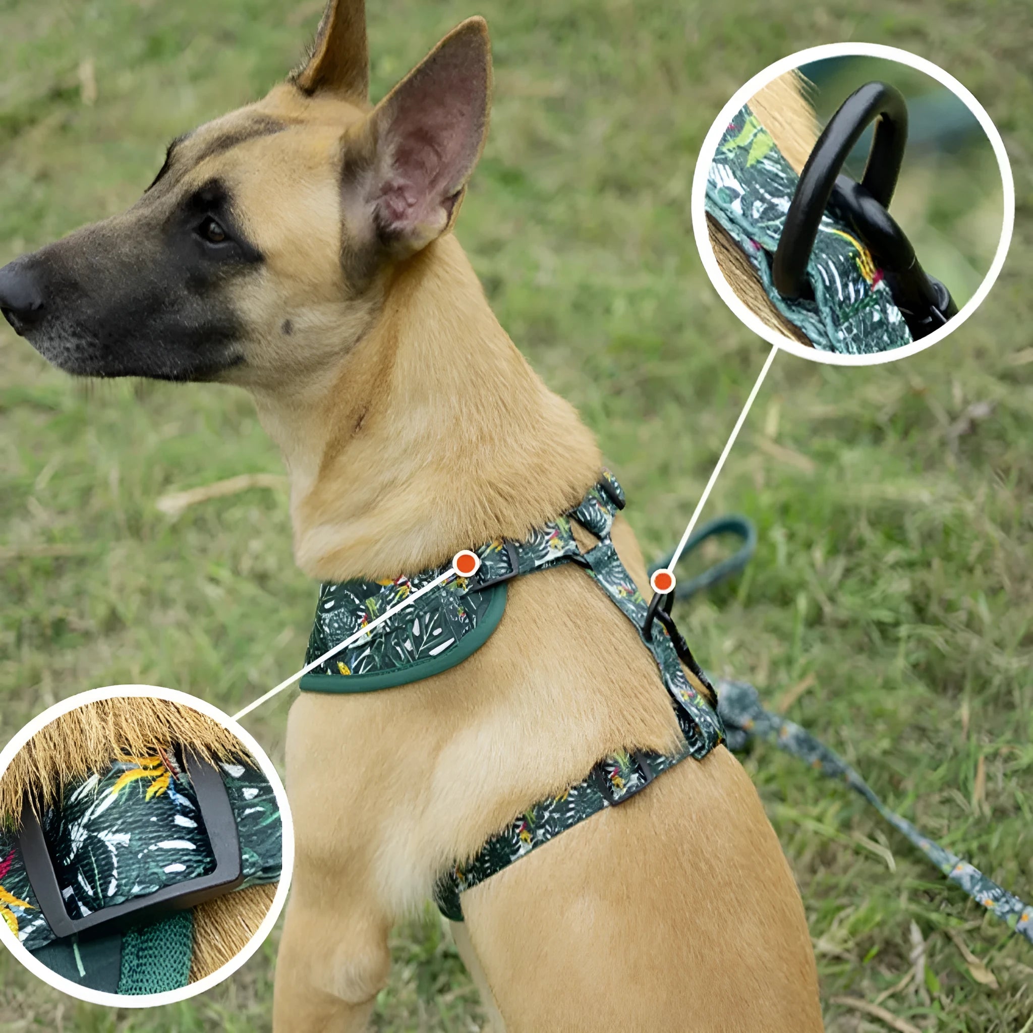 Adjustable cloth pet harness six-piece set with haulage rope, waste bag, and accessories in multiple size codes