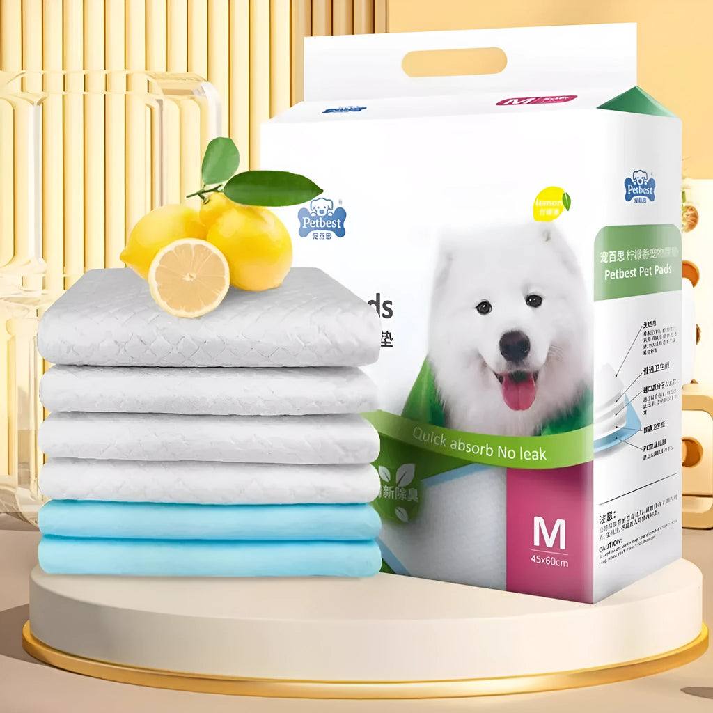 Pet urine pads showing four size options and six absorbent variant types for indoor dog toilet training
