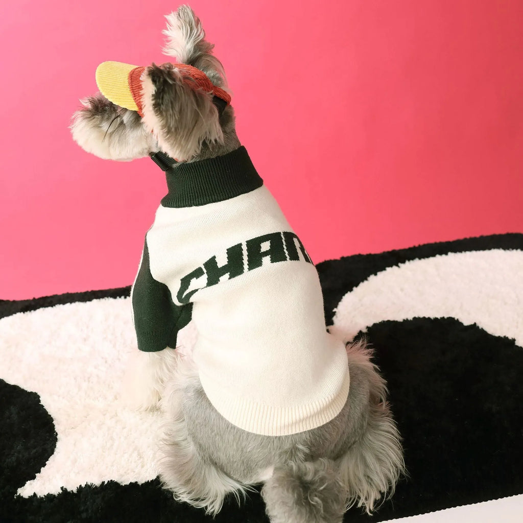 Red puppy dog sports sweater cardigan on canine model showing wool blend knit construction
