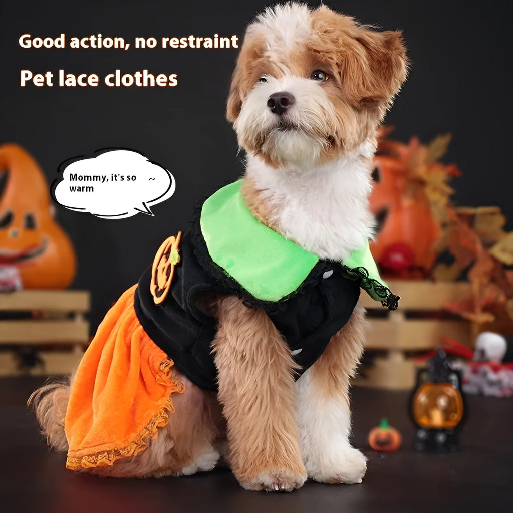 Halloween pet costume: orange pumpkin skirt and black Halloween sweater for small dogs and cats on hangers.