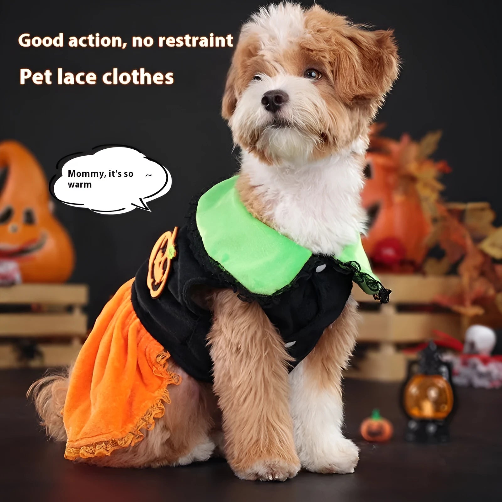 Halloween pet costume: orange pumpkin skirt and black Halloween sweater for small dogs and cats on hangers.