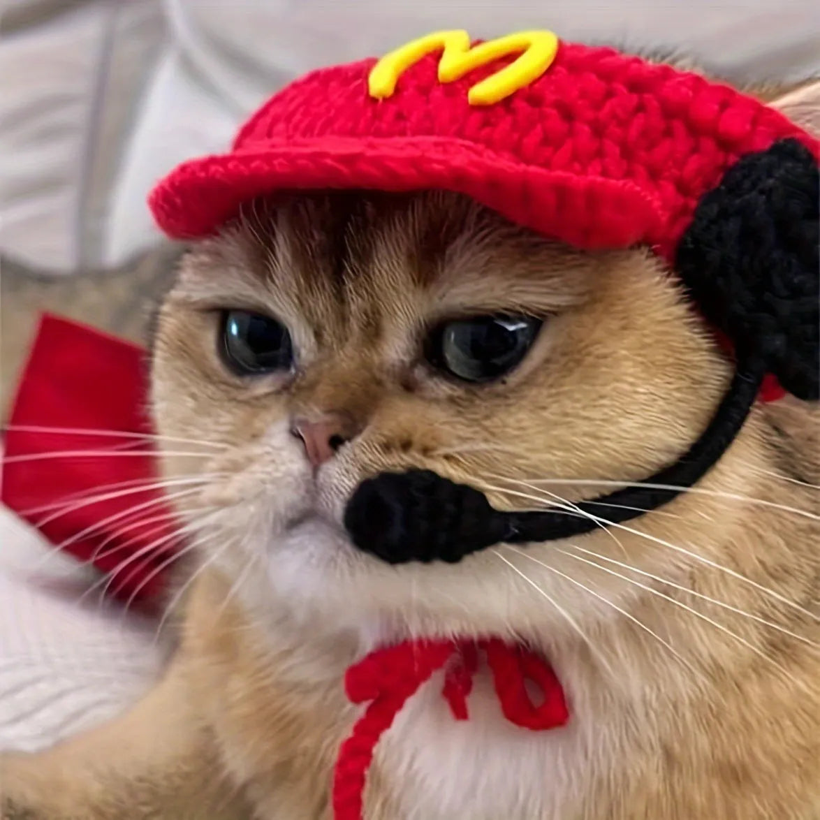 Handmade white cotton knitted sweater and red-trimmed chef hat for a small dog wearing the costume.