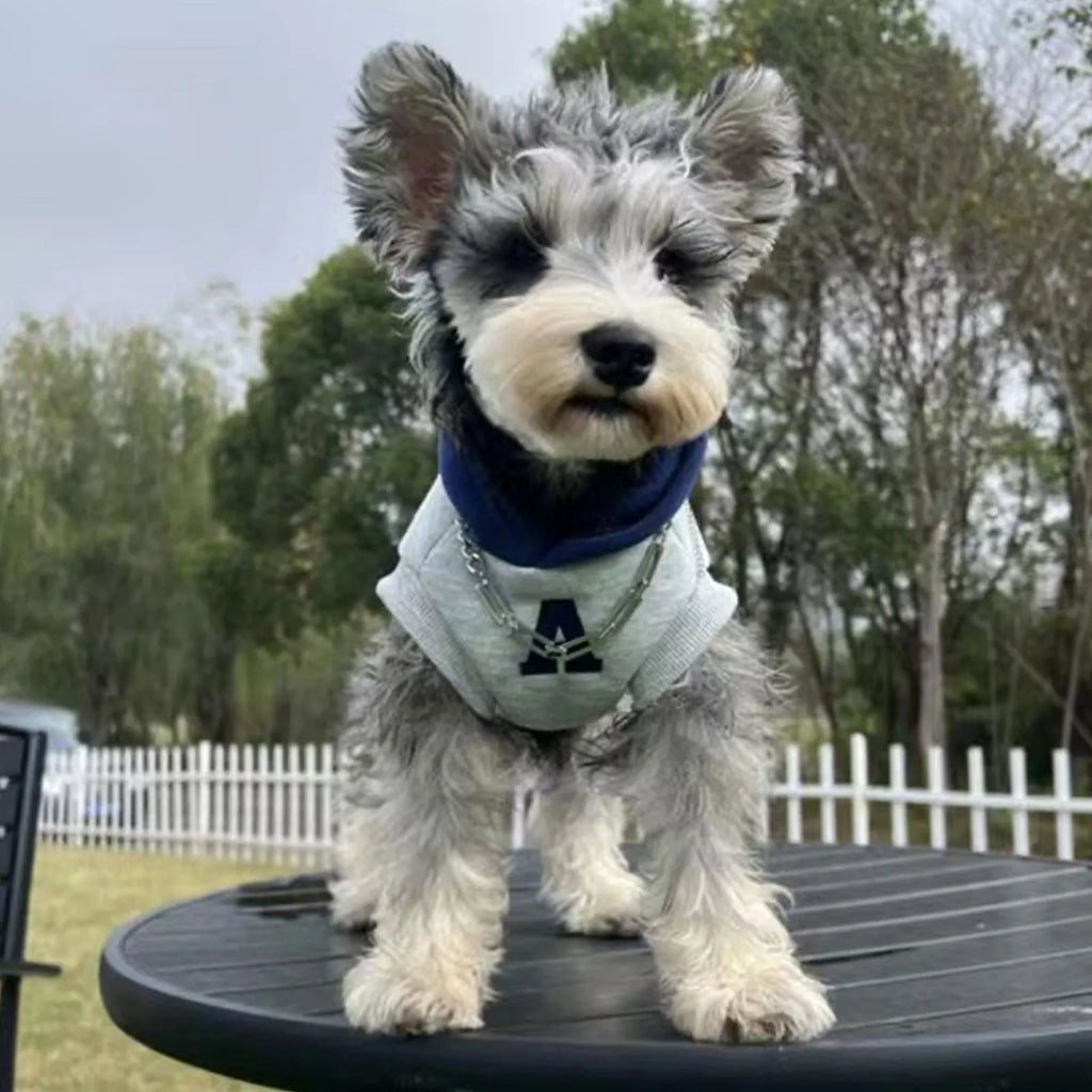Blue and grey white pet hoodie with reflective letters for dogs and cats in slim-fitting design