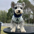 Blue and grey white pet hoodie with reflective letters for dogs and cats in slim-fitting design