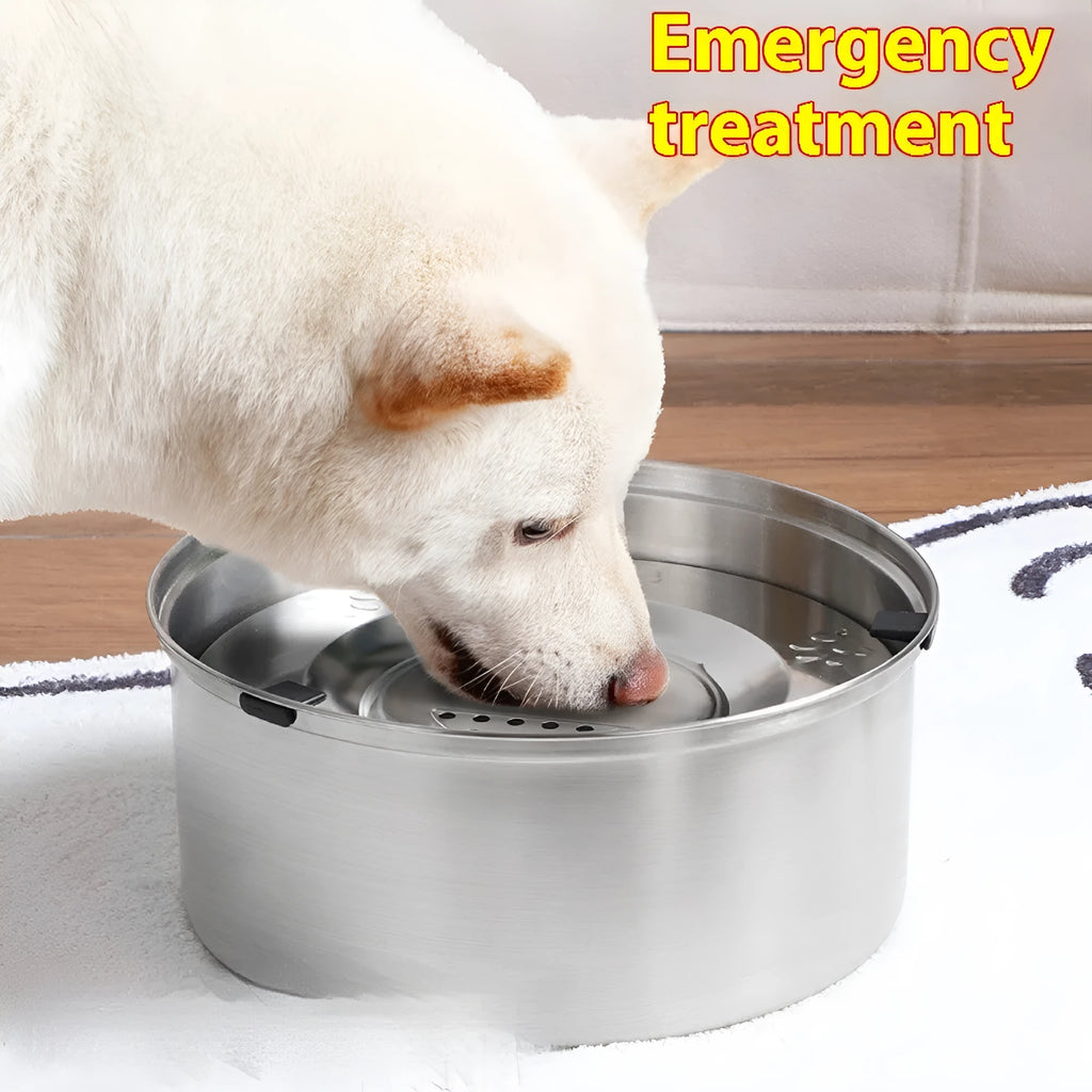 Silver stainless steel pet drinking water bowl, large capacity up to 5.6 litres, for dogs and cats