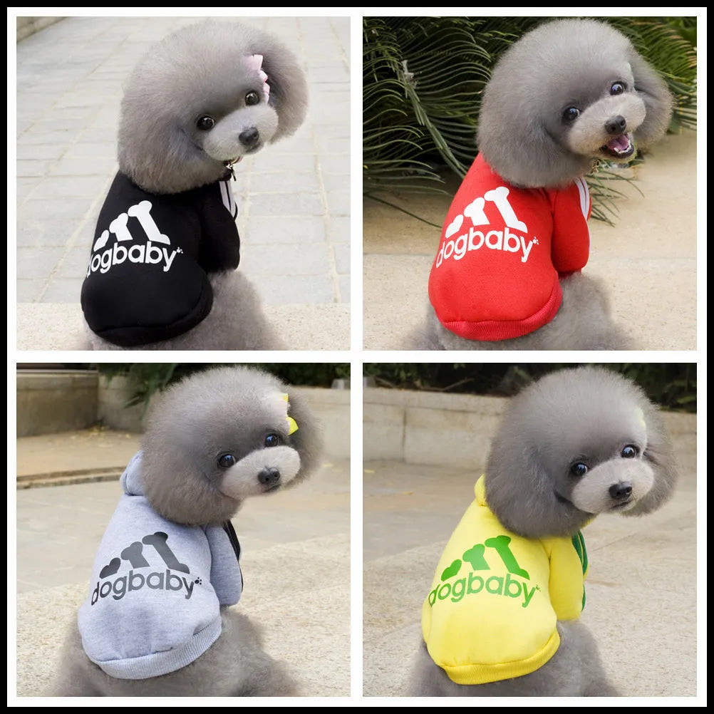 Warm hoodie for small dogs and cats in black, gray, red, yellow, sizes XS to XXL