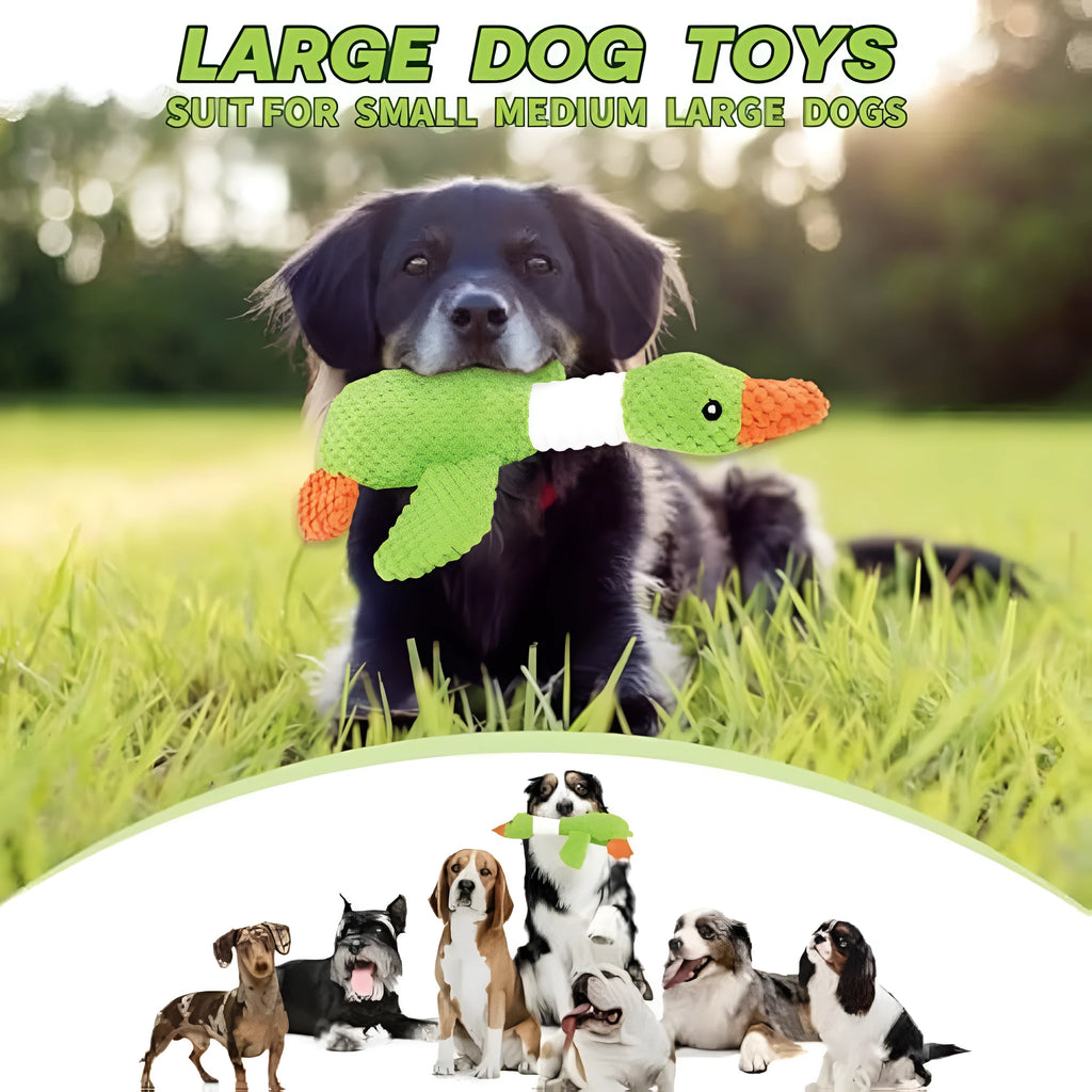 Blue durable plush duck dog toy with squeakers for large breed chewing and play.