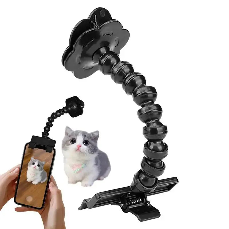 Black plastic pet photography clip tool holding mobile phone with snack grip attachment