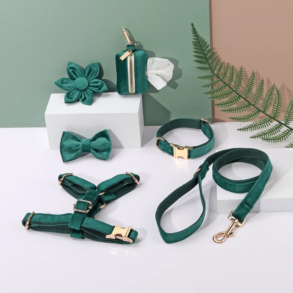 Velvet pet collar and matching traction rope set with chest strap, bow tie, flower accessory, and toilet bag