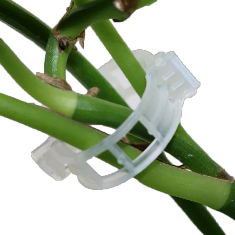 Plastic grafting clips for tomato plant support in random colours, 50-piece gardening supplies set