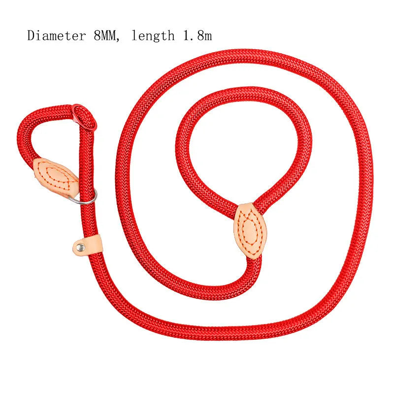 Dog training leash with blast collar mechanism in black, blue, coffee, red or white colour options