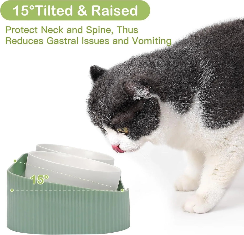 Green ceramic elevated cat bowls with tilted design on non-slip base for food and water