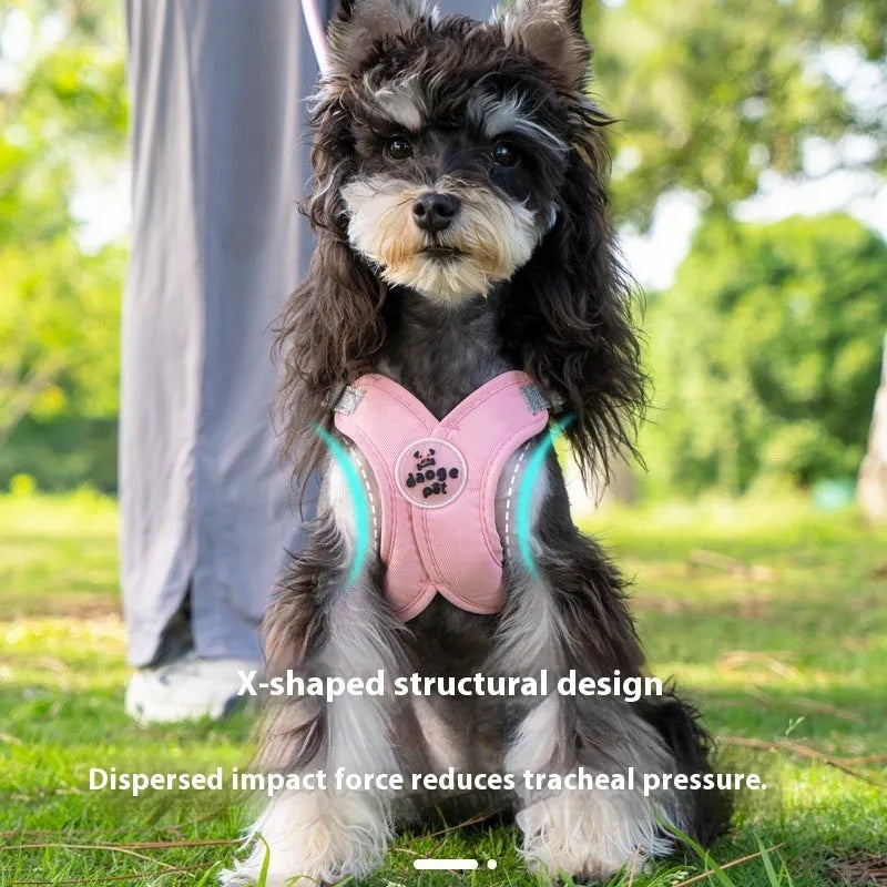 Pet walking vest with hand-held rope in blue, green, pink, or yellow colours