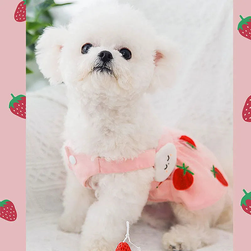 Pink strawberry princess dress for dog made from woven cloth on model