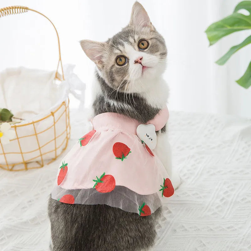 Pink strawberry princess dress for dog made from woven cloth on model