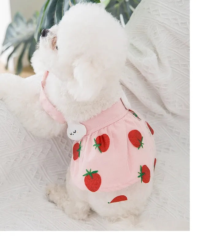 Pink strawberry princess dress for dog made from woven cloth on model