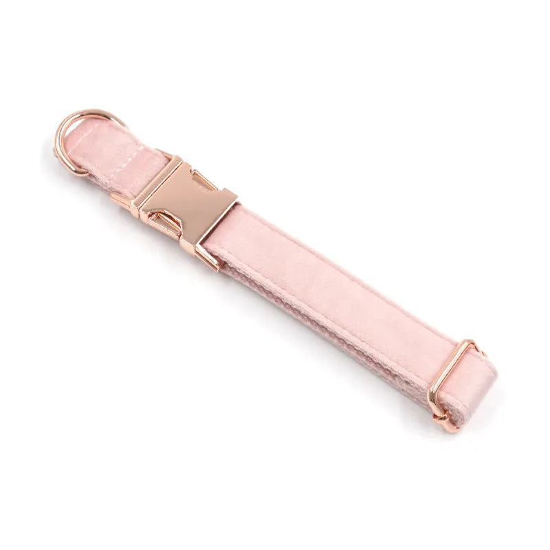 Pink velvet pet collar with rose gold hardware and matching leash on a white background