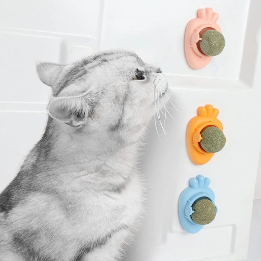 Blue carrot-shaped self-adhesive catnip toy for wall mounting and teeth cleaning.