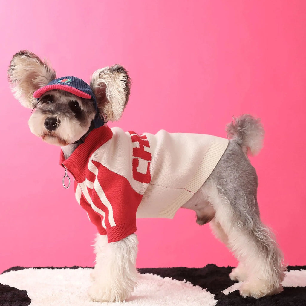 Red puppy dog sports sweater cardigan on canine model showing wool blend knit construction