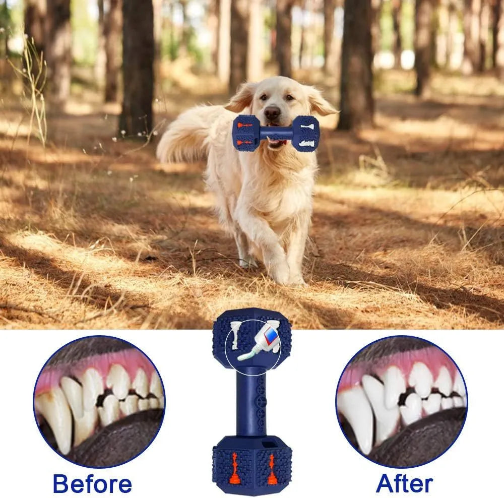 A blue dumbbell-shaped dog chew toy with a textured surface and hollow ends for treats.