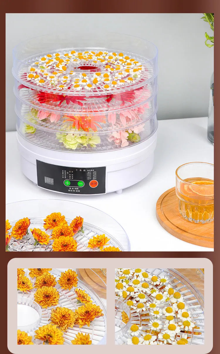 Five-layer household food dehydrator with UK plug on kitchen countertop