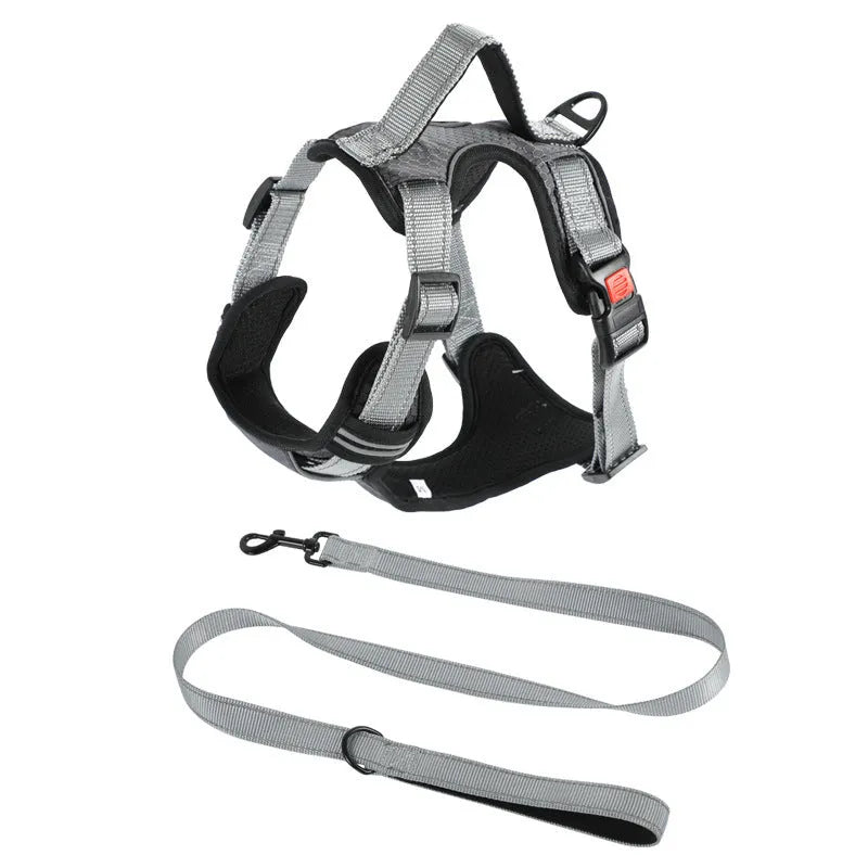Adjustable dog harness with hand holding rope on back in various colours and sizes