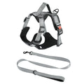 Adjustable dog harness with hand holding rope on back in various colours and sizes