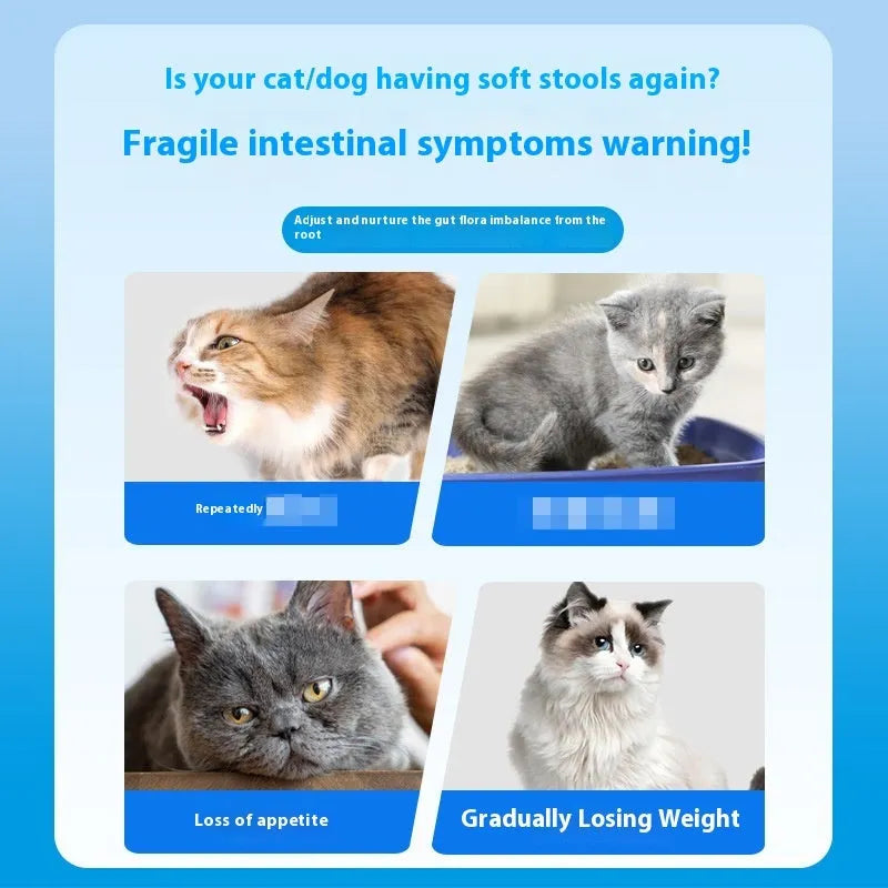 Bottle of 180 pet probiotic tablets for digestive support in cats and dogs
