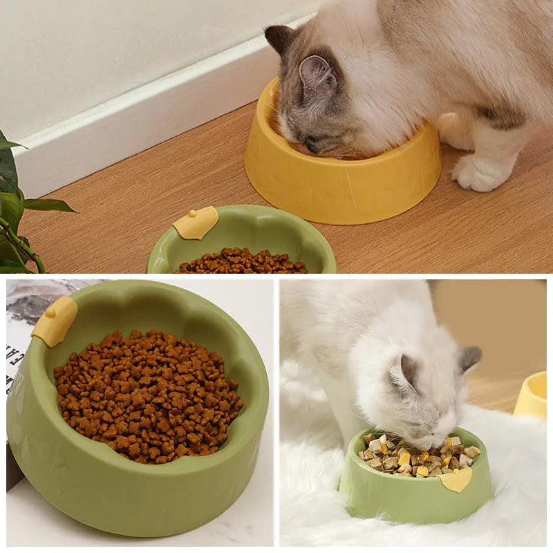 Green plastic double pet bowl for cats and dogs with anti-tipping base and separate food and water compartments