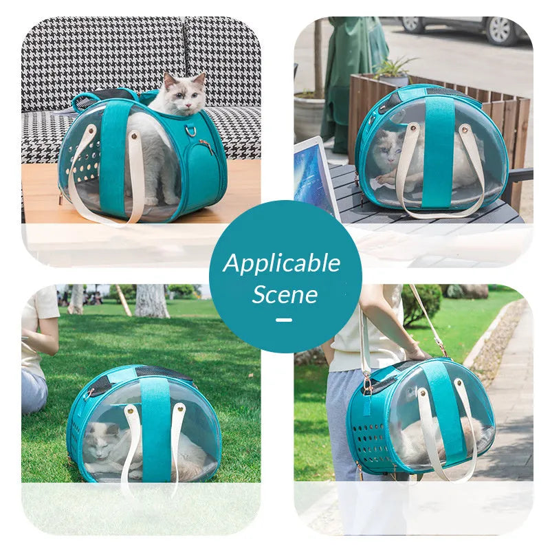 Double Fish transparent PVC dog bag pet backpack with ventilation holes and locking mechanism in sky blue