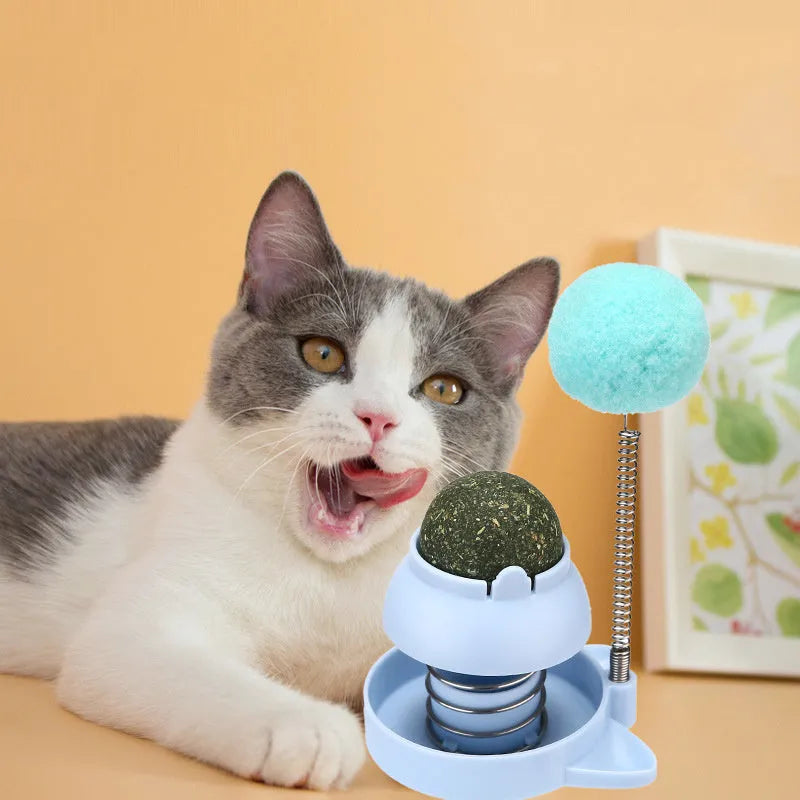 Lucky Cat mint-scented music ball and teaser stick cat toy in blue, orange or pink colours