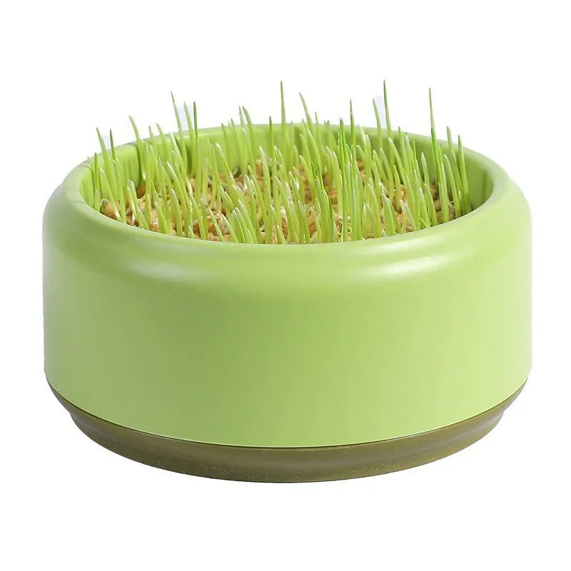Hydroponic cat grass kit with blue, green, and yellow reusable plastic cups and five seed packs