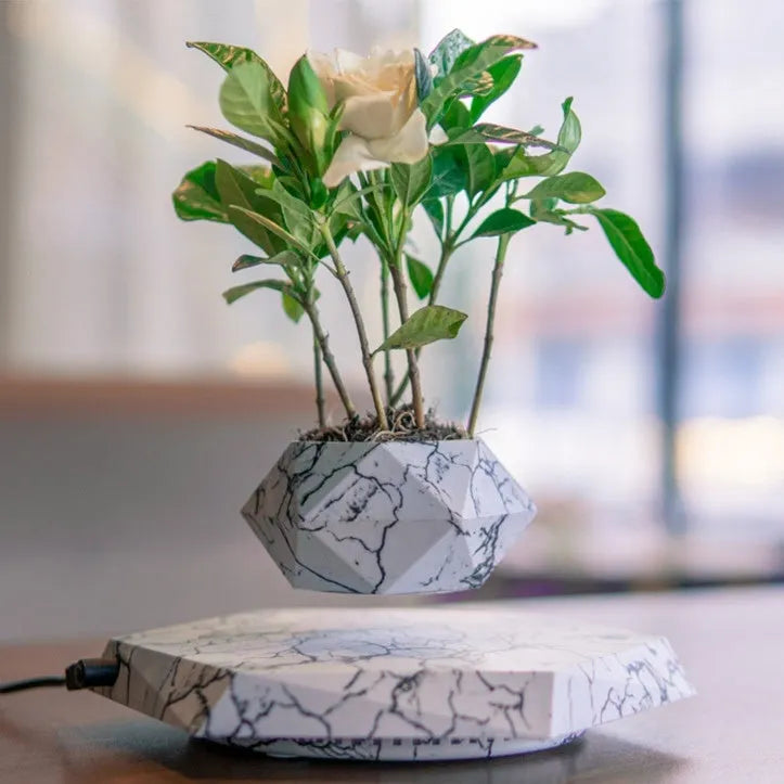 Small marble-colour magnetic levitation plant pot floating and rotating above its floor-standing base.