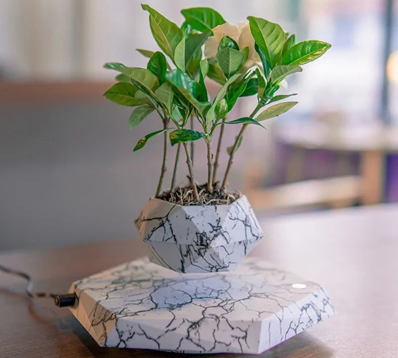 Small marble-colour magnetic levitation plant pot floating and rotating above its floor-standing base.