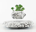Small marble-colour magnetic levitation plant pot floating and rotating above its floor-standing base.