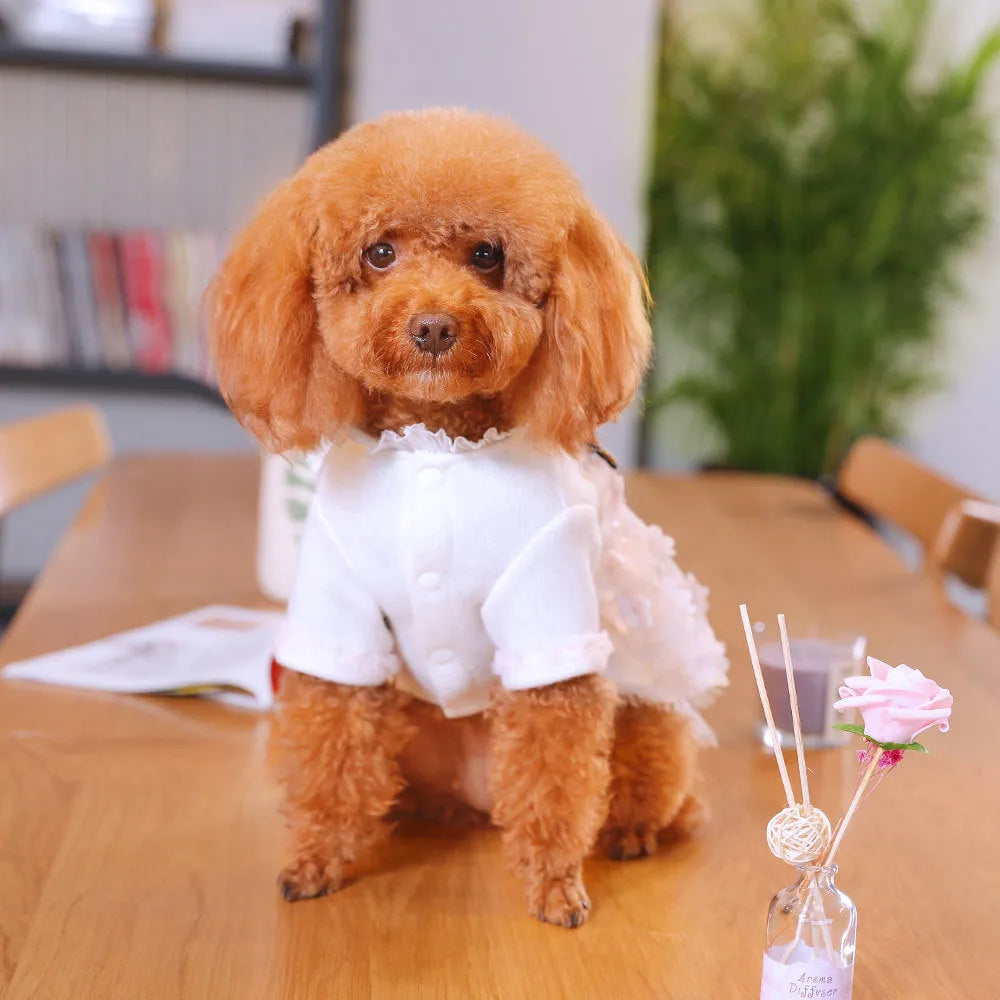 Dog clothes skirt for small dogs made from polyester fibre and lace in size L or XL with three-dimensional lace skirt