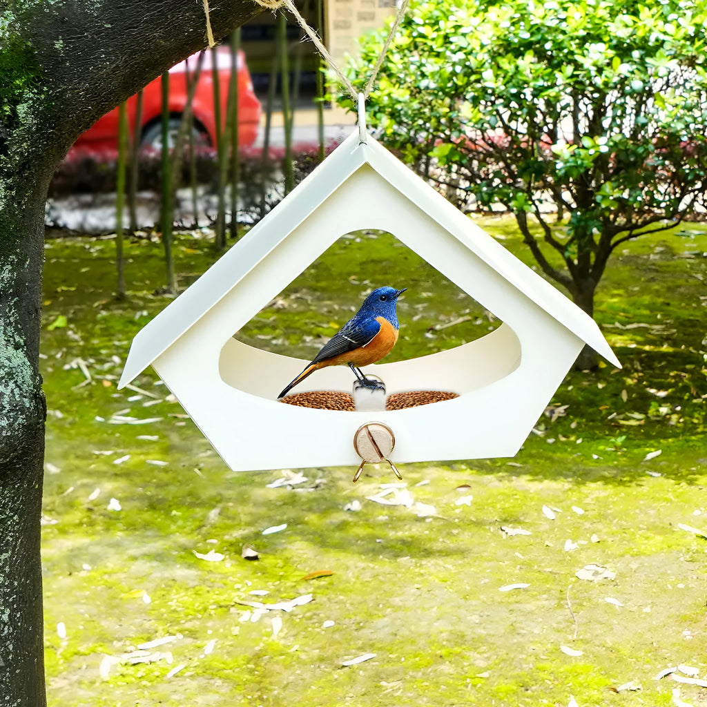 European-style iron bird nest with modern design for outdoor courtyard decoration and bird feeding