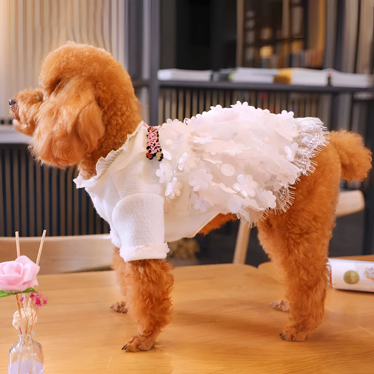 Dog clothes skirt for small dogs made from polyester fibre and lace in size L or XL with three-dimensional lace skirt