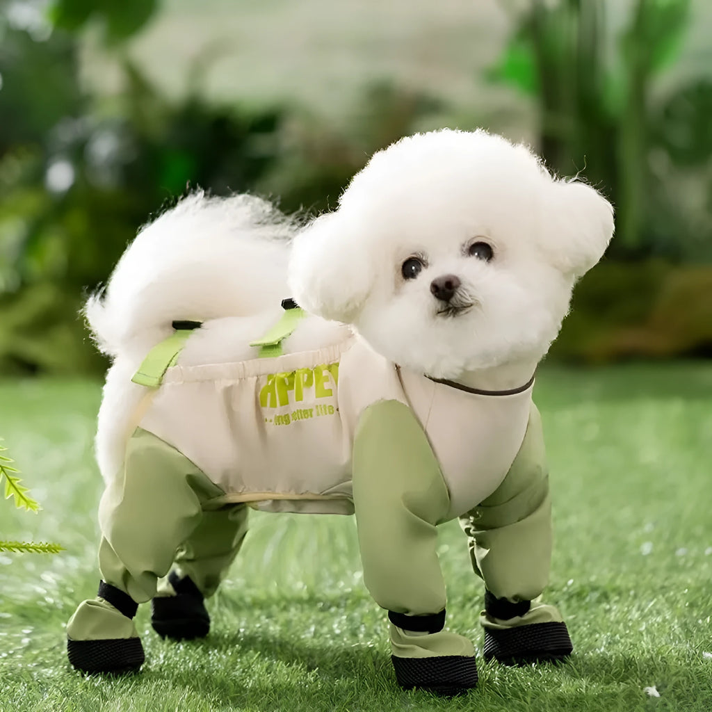 Waterproof reflective stripe dog pants with anti-slip paw soles for small medium dogs
