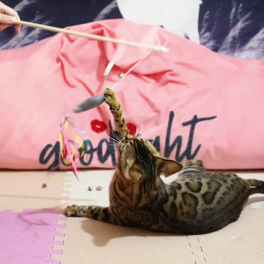 Interactive cat wand toy with wooden handle, colourful ribbons, catnip fish, and bell for indoor cat play