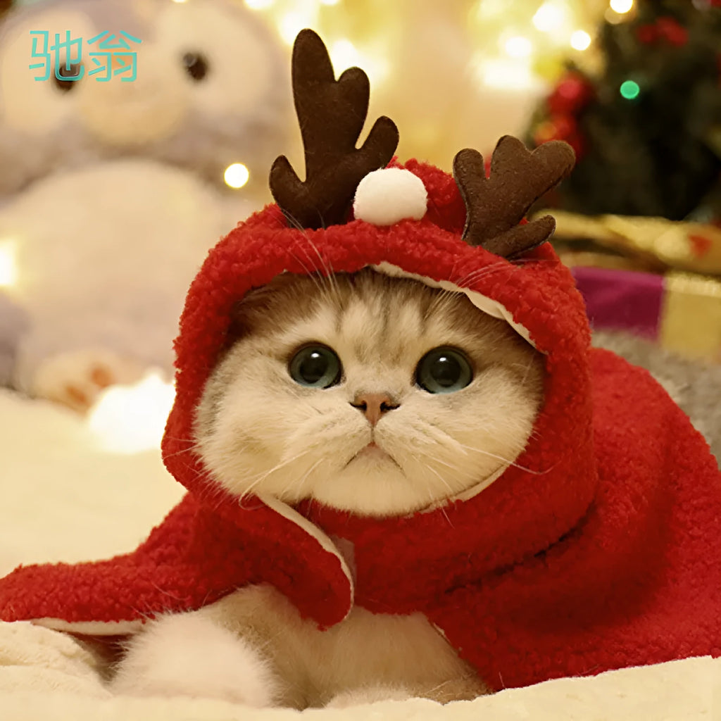 Pet polar fleece antler hat cloak in red with antler hood, suitable for small to medium dogs and cats
