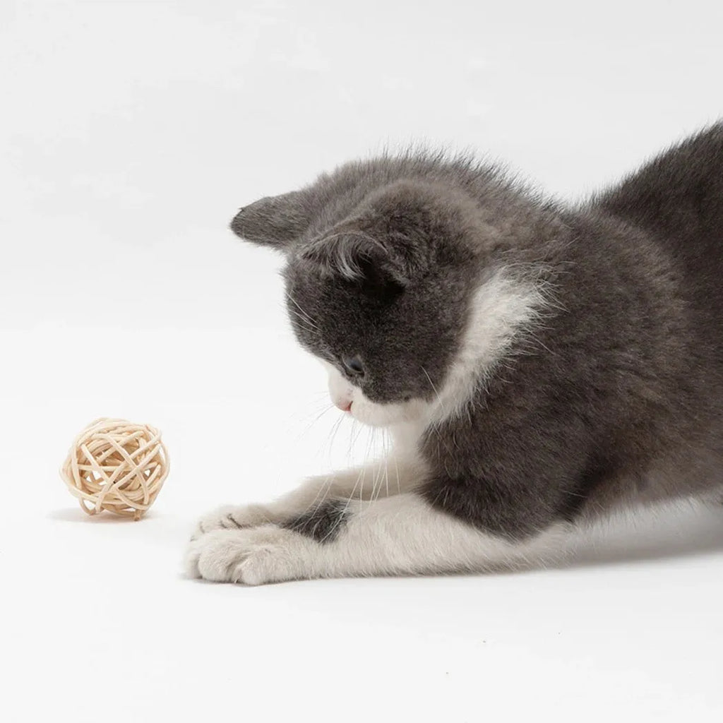 Two cat toys: hollow rattan ball and faux feather bell ball for interactive pet play.