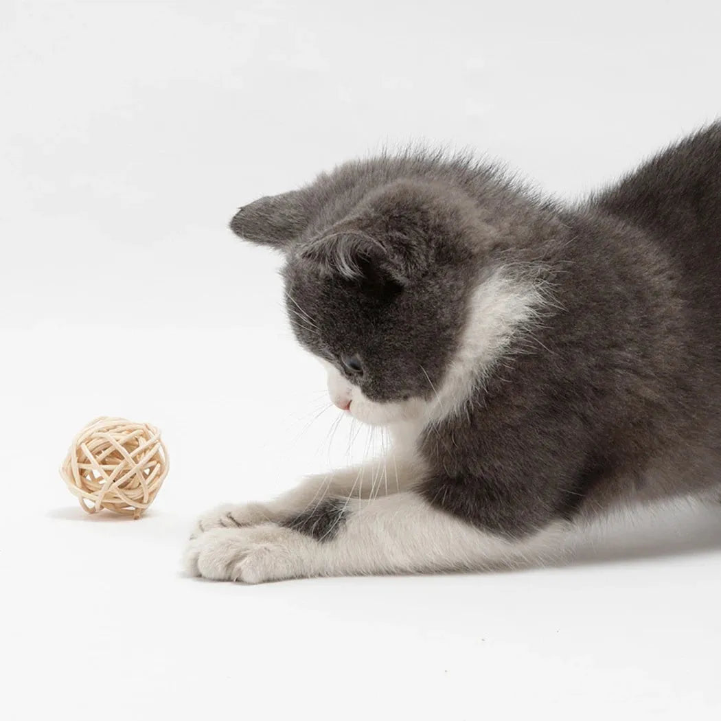 Two cat toys: hollow rattan ball and faux feather bell ball for interactive pet play.